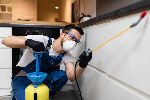 Reliable Pearl River, NY Pest Control Solutions