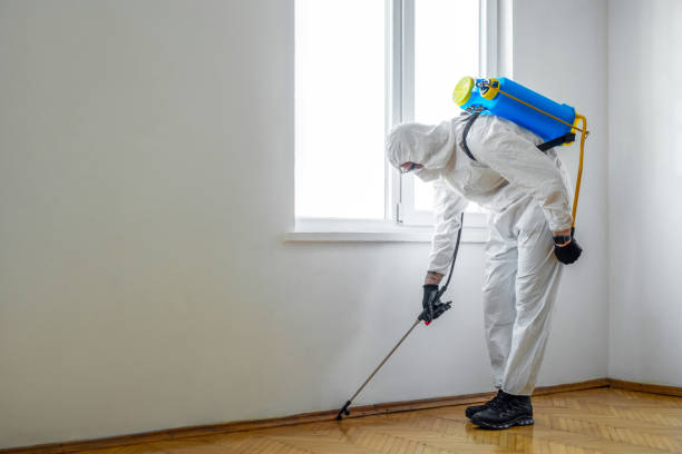 Best Bed Bug Extermination  in Pearl River, NY