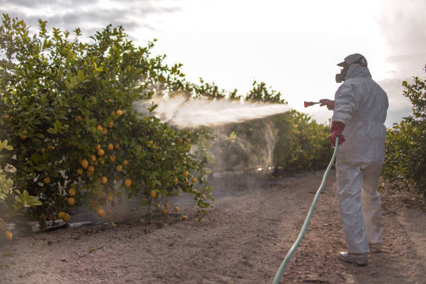 Best Best Pest Control Companies  in Pearl River, NY