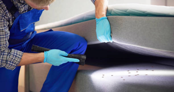 Best Commercial Pest Control Services  in Pearl River, NY